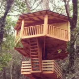 Una encantadora casa del árbol de madera, con escaleras y barandillas, se alza entre frondosos árboles.