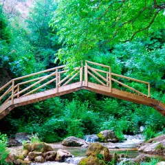 Puente de madera sobre un arroyo en la ruta río cerezuelo, rodeado de exuberante vegetación verde.