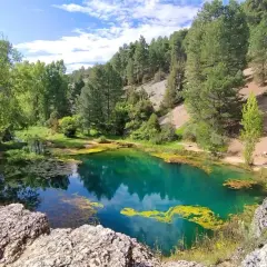La fuentona de Muriel, un oasis de aguas turquesas rodeado de pinos y vegetación exuberante, bajo un cielo azul con nubes algodonosas.