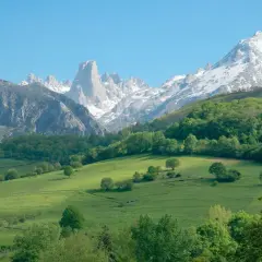 Majestuosas montañas nevadas se alzan tras verdes prados y bosques frondosos, un paisaje idílico de las reservas naturales España.