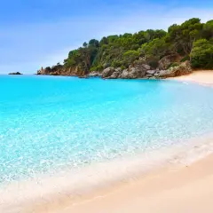Aguas cristalinas y arena dorada en una cala idílica, un paraíso entre las playas cerca de Barcelona.