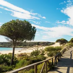 Un sendero de madera serpentea entre pinos y dunas hacia las playas de Cádiz, con el mar azul y el cielo nublado de fondo.