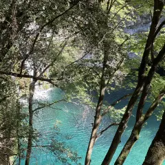 El gorg blau de Girona, un remanso de paz entre árboles frondosos y aguas cristalinas.