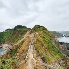 Un sendero de madera asciende por una colina verde, con el mar azul a la derecha. La forma de la costa recuerda al fuciño do porco.