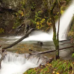 Las cascadas de Anna, un rincón natural con agua que fluye entre rocas y troncos caídos, rodeado de vegetación otoñal.