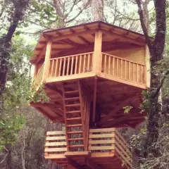 Una encantadora casa del árbol de madera, con escaleras y barandillas, se alza entre frondosos árboles.