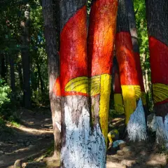 Senderos del bosque pintado de Poblet, con troncos de árboles decorados con vivos colores rojo, amarillo y blanco, creando un paisaje surrealista.