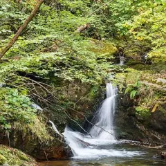 Cascada en la ruta del alba, rodeada de vegetación frondosa y rocas cubiertas de musgo. El agua cae en cascada, creando un ambiente sereno.