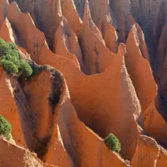 Las **carcavas Pontón de la Oliva** forman un paisaje erosionado de tonos rojizos, con picos y valles esculpidos por el tiempo, salpicado por vegetación verde.