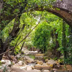Arco de piedra cubierto de vegetación, con un arroyo rocoso que fluye debajo. Un lugar idílico para explorar la ruta de la miel.