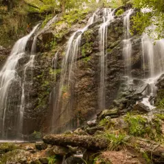 La cascada de Guanga desciende por rocas cubiertas de musgo, creando un velo de agua entre la vegetación exuberante.