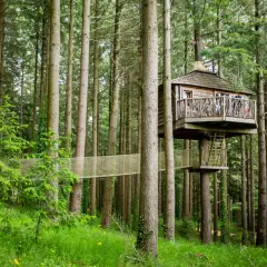 Casas en los árboles conectadas por puentes colgantes en un bosque frondoso.