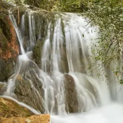 Cascadas de Hueznar, un velo de agua blanca desciende por rocas cubiertas de musgo y vegetación exuberante.