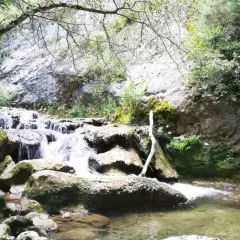 Cascada en el desfiladero del río Purón, rodeada de rocas cubiertas de musgo y vegetación frondosa.