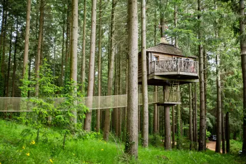 Casas en los árboles conectadas por puentes colgantes en un bosque frondoso.