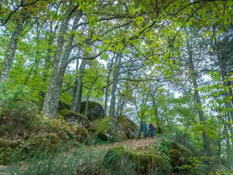 Bosque de los Espejos - Arte y naturaleza en Sierra de Francia