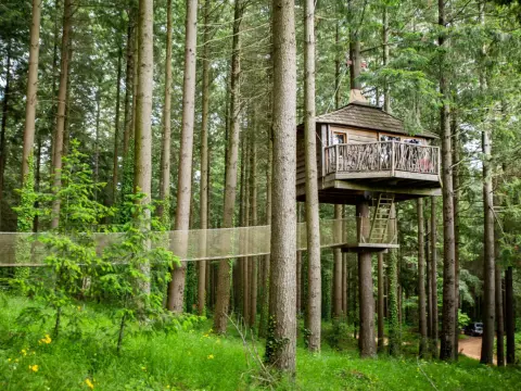 Casas en los árboles - ¿Cómo elegir la mejor estancia?