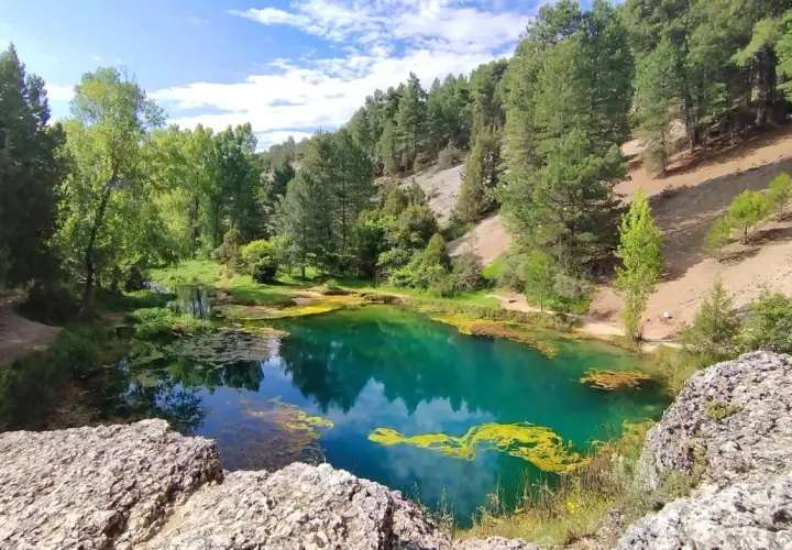 La fuentona de Muriel, un oasis de aguas turquesas rodeado de pinos y vegetación exuberante, bajo un cielo azul con nubes algodonosas.