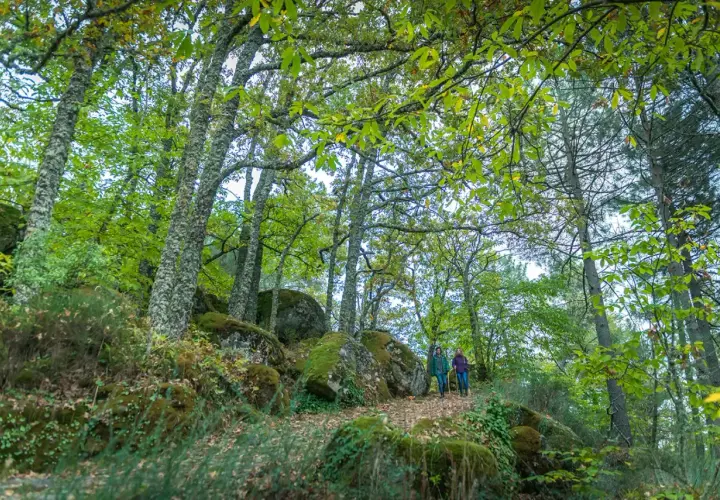 Dos personas caminan por un sendero en el bosque de los espejos, rodeados de árboles frondosos y rocas cubiertas de musgo.