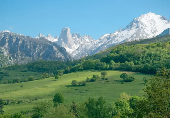 Majestuosas montañas nevadas se alzan tras verdes prados y bosques frondosos, un paisaje idílico de las reservas naturales España.