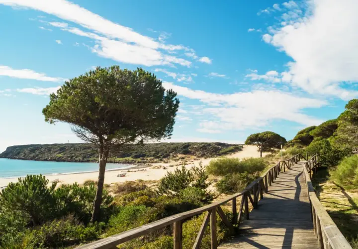 Un sendero de madera serpentea entre pinos y dunas hacia las playas de Cádiz, con el mar azul y el cielo nublado de fondo.