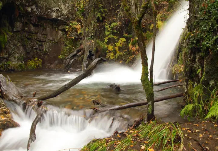Las cascadas de Anna, un rincón natural con agua que fluye entre rocas y troncos caídos, rodeado de vegetación otoñal.