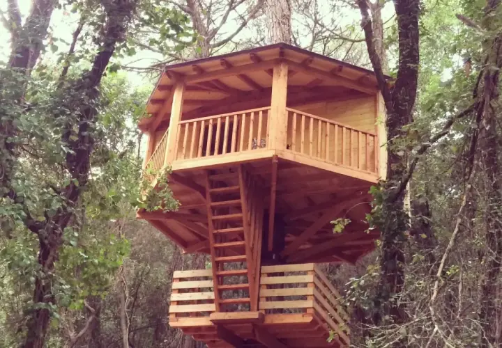 Una encantadora casa del árbol de madera, con escaleras y barandillas, se alza entre frondosos árboles.