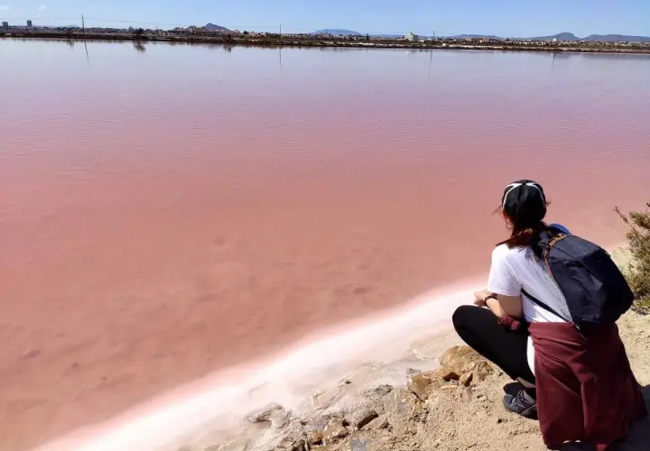 Persona observa el agua rosada de las salinas de San Pedro, un paisaje único.
