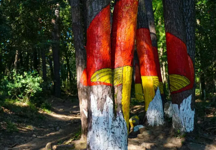 Senderos del bosque pintado de Poblet, con troncos de árboles decorados con vivos colores rojo, amarillo y blanco, creando un paisaje surrealista.