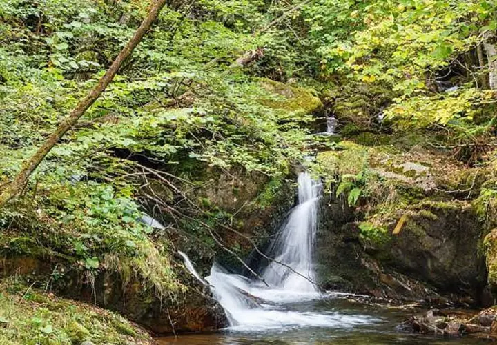 Cascada en la ruta del alba, rodeada de vegetación frondosa y rocas cubiertas de musgo. El agua cae en cascada, creando un ambiente sereno.