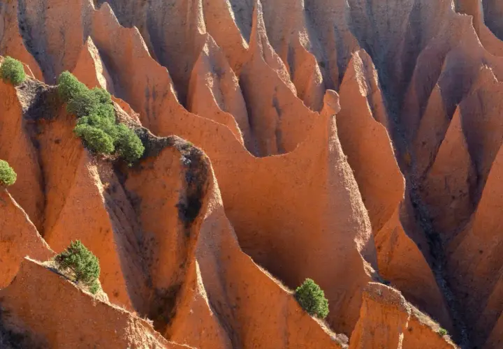 Las **carcavas Pontón de la Oliva** forman un paisaje erosionado de tonos rojizos, con picos y valles esculpidos por el tiempo, salpicado por vegetación verde.