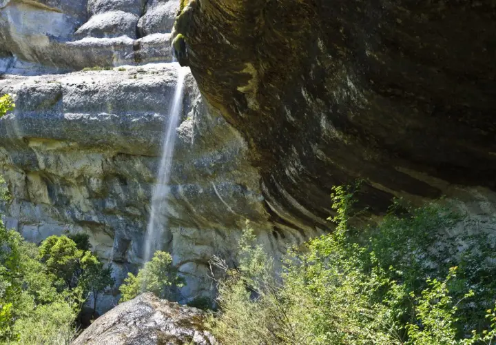 Una fina cascada de la mea cae por una pared rocosa, rodeada de vegetación exuberante y rocas cubiertas de musgo.
