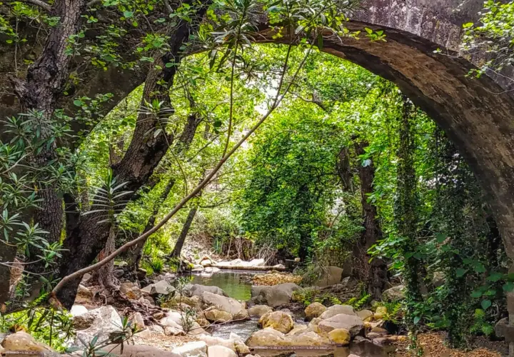 Arco de piedra cubierto de vegetación, con un arroyo rocoso que fluye debajo. Un lugar idílico para explorar la ruta de la miel.