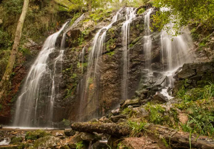 La cascada de Guanga desciende por rocas cubiertas de musgo, creando un velo de agua entre la vegetación exuberante.