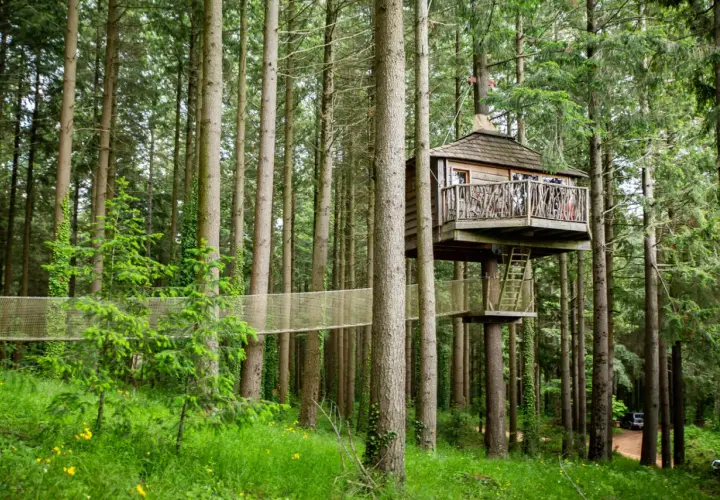 Casas en los árboles conectadas por puentes colgantes en un bosque frondoso.