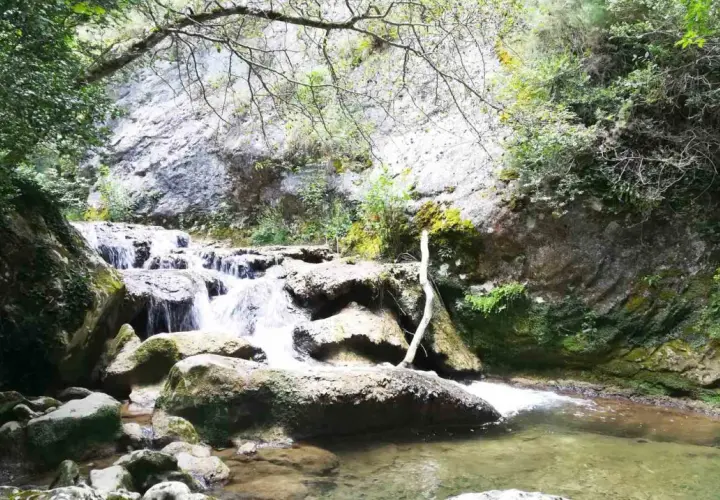 Cascada en el desfiladero del río Purón, rodeada de rocas cubiertas de musgo y vegetación frondosa.