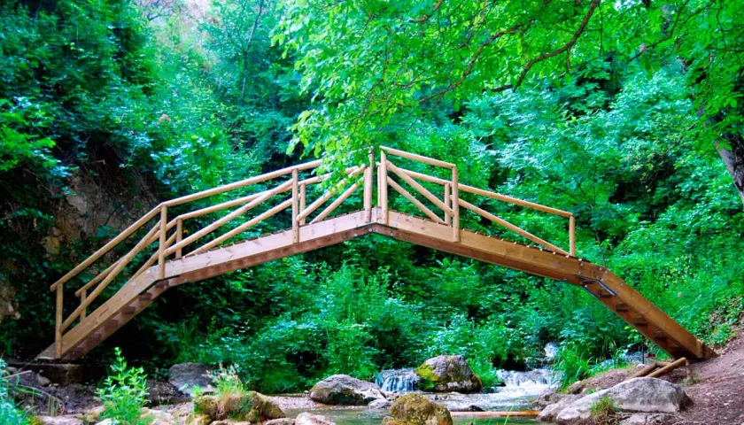 Puente de madera sobre un arroyo en la ruta río cerezuelo, rodeado de exuberante vegetación verde.