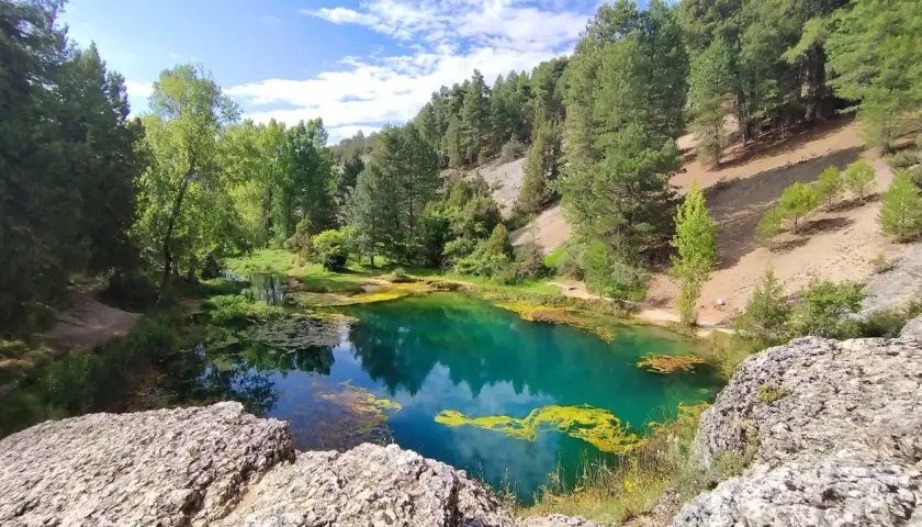 La fuentona de Muriel, un oasis de aguas turquesas rodeado de pinos y vegetación exuberante, bajo un cielo azul con nubes algodonosas.
