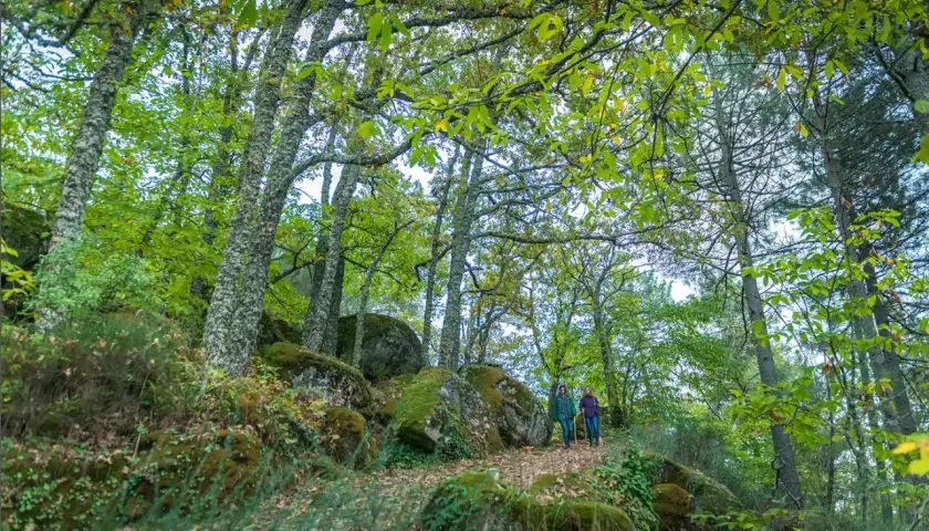 Dos personas caminan por un sendero en el bosque de los espejos, rodeados de árboles frondosos y rocas cubiertas de musgo.