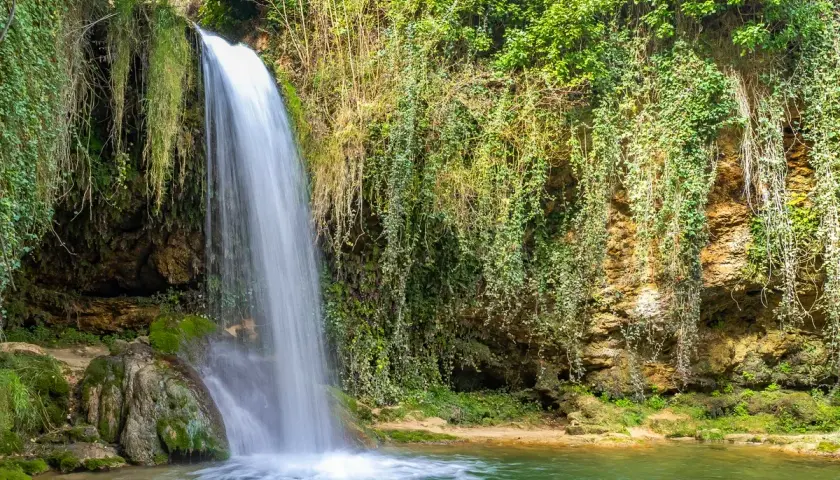 Cascadas en Burgos, un rincón verde y exuberante donde el agua cae sobre rocas cubiertas de musgo y enredaderas.