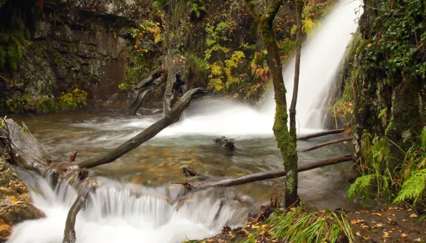 Las cascadas de Anna, un rincón natural con agua que fluye entre rocas y troncos caídos, rodeado de vegetación otoñal.