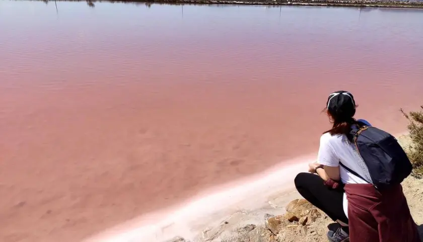 Persona observa el agua rosada de las salinas de San Pedro, un paisaje único.