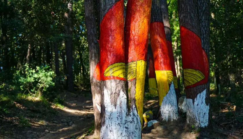 Senderos del bosque pintado de Poblet, con troncos de árboles decorados con vivos colores rojo, amarillo y blanco, creando un paisaje surrealista.
