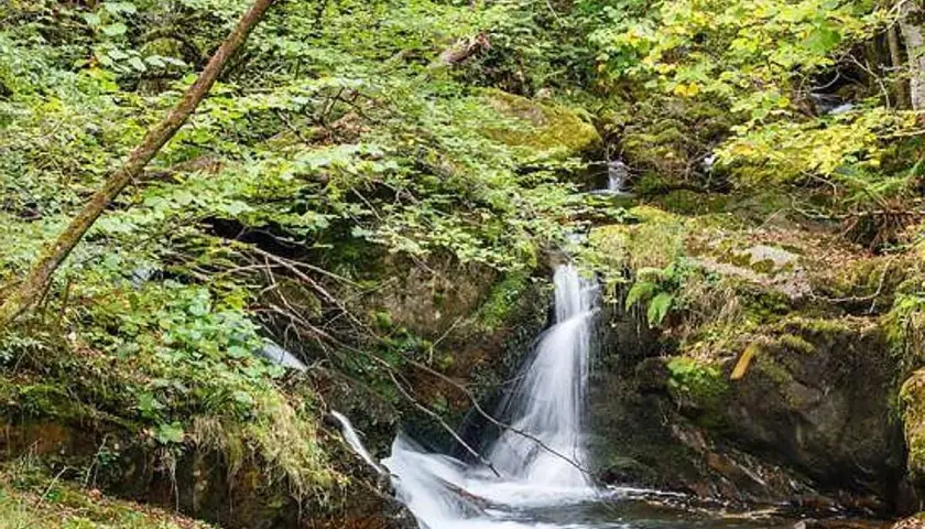 Cascada en la ruta del alba, rodeada de vegetación frondosa y rocas cubiertas de musgo. El agua cae en cascada, creando un ambiente sereno.