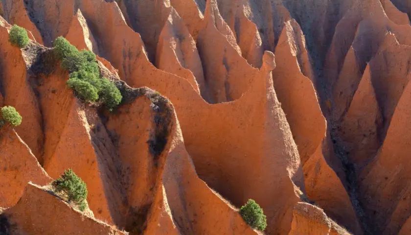 Las **carcavas Pontón de la Oliva** forman un paisaje erosionado de tonos rojizos, con picos y valles esculpidos por el tiempo, salpicado por vegetación verde.