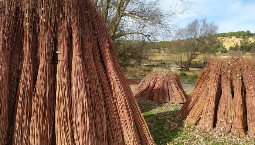 Grandes haces de mimbre apilados, listos para la **ruta del mimbre**. El paisaje otoñal con árboles desnudos y colinas al fondo crea un ambiente rústico.