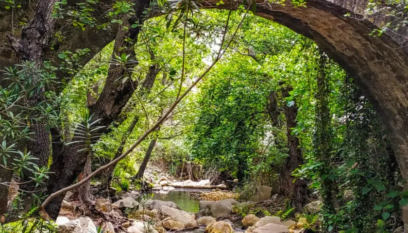 Arco de piedra cubierto de vegetación, con un arroyo rocoso que fluye debajo. Un lugar idílico para explorar la ruta de la miel.