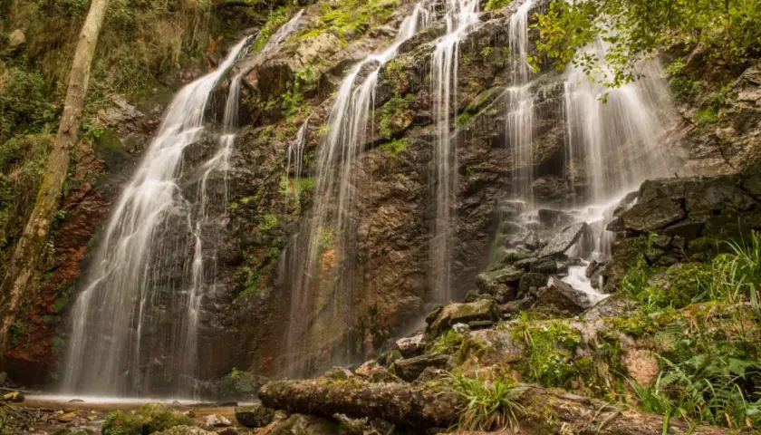 La cascada de Guanga desciende por rocas cubiertas de musgo, creando un velo de agua entre la vegetación exuberante.