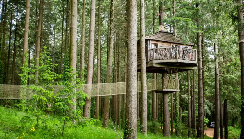 Casas en los árboles conectadas por puentes colgantes en un bosque frondoso.