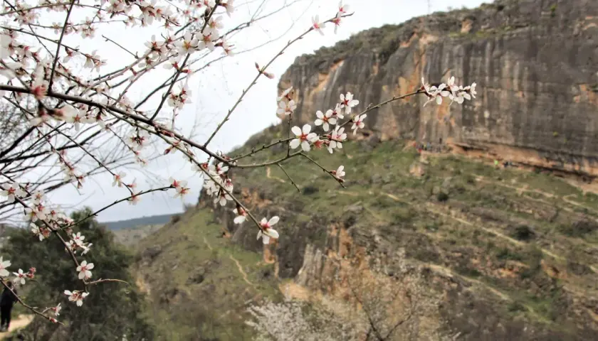 Ramas de almendro en flor en primer plano, con las **carcavas de Patones** y senderistas al fondo.